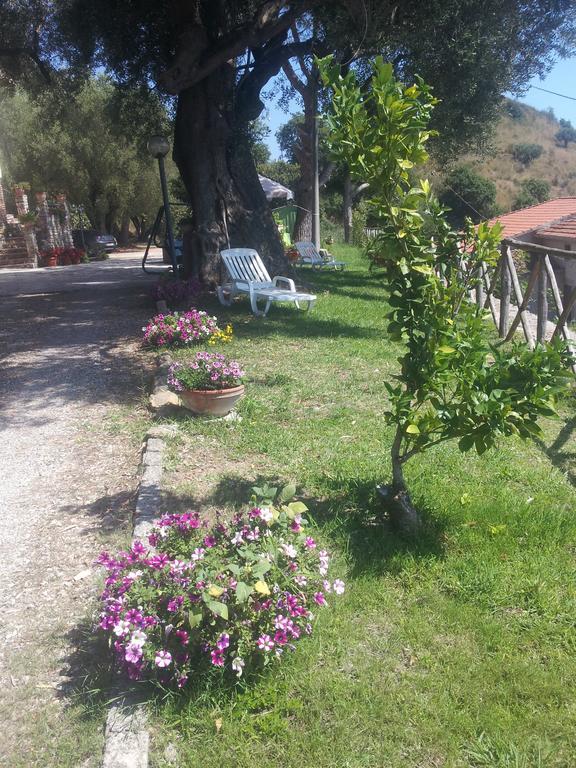 Agriturismo La Focazza Villa Ascea Exterior foto